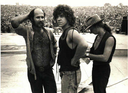 Organizadores Woodstock